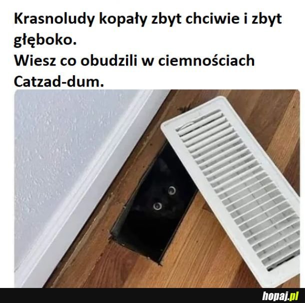 Krasnoludy