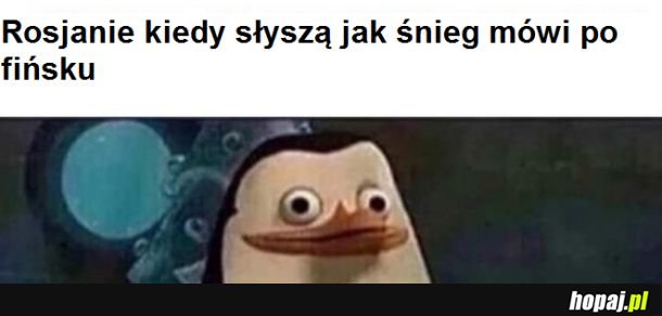 Rosjanie za 2 wojny światowej