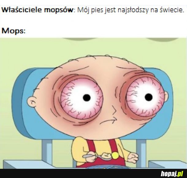 Mops