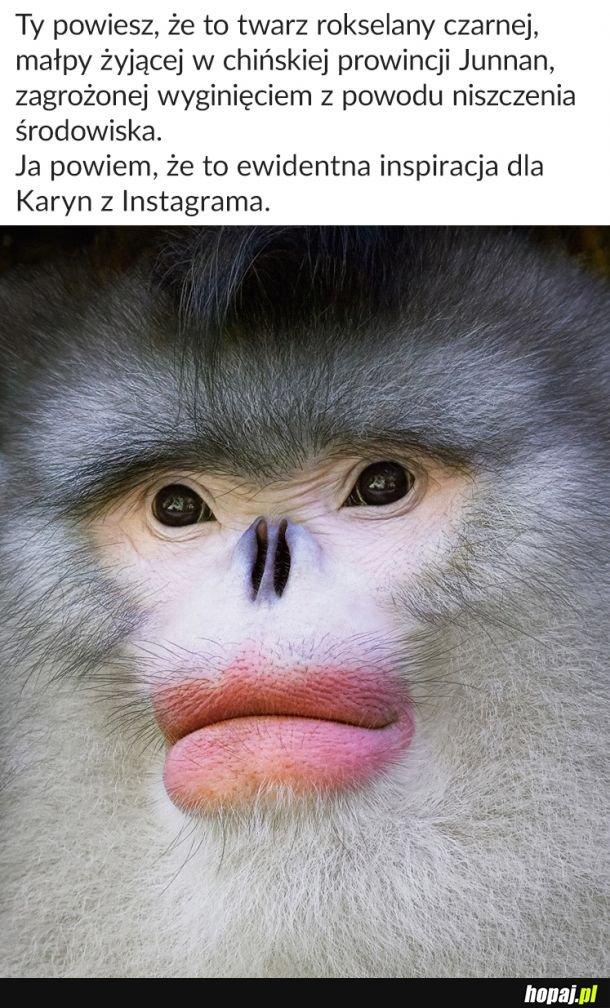  Nie da się ukryć