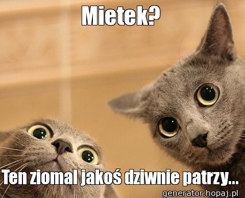 Mietek?