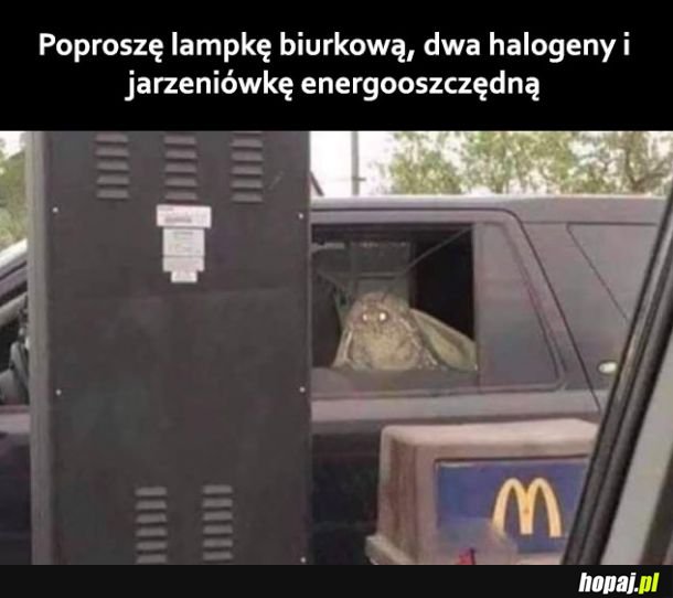 Tymczasem