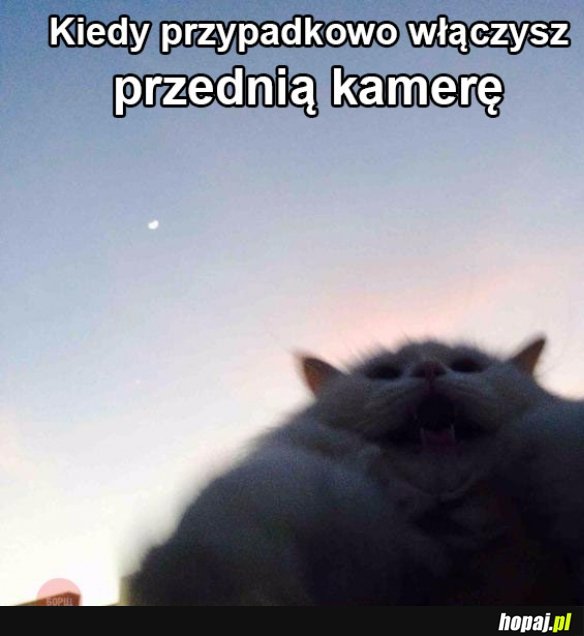 Kocieł