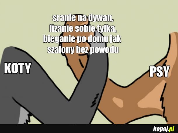 Sierściuchy takie są.