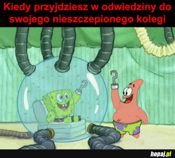 Witaj mój przyjacielu