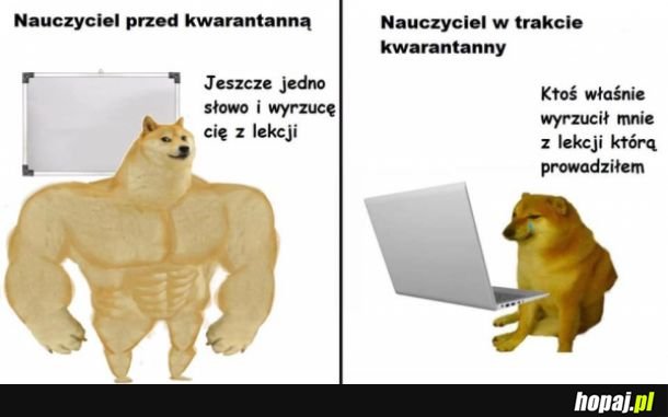 Nauczyciel i kwarantanna