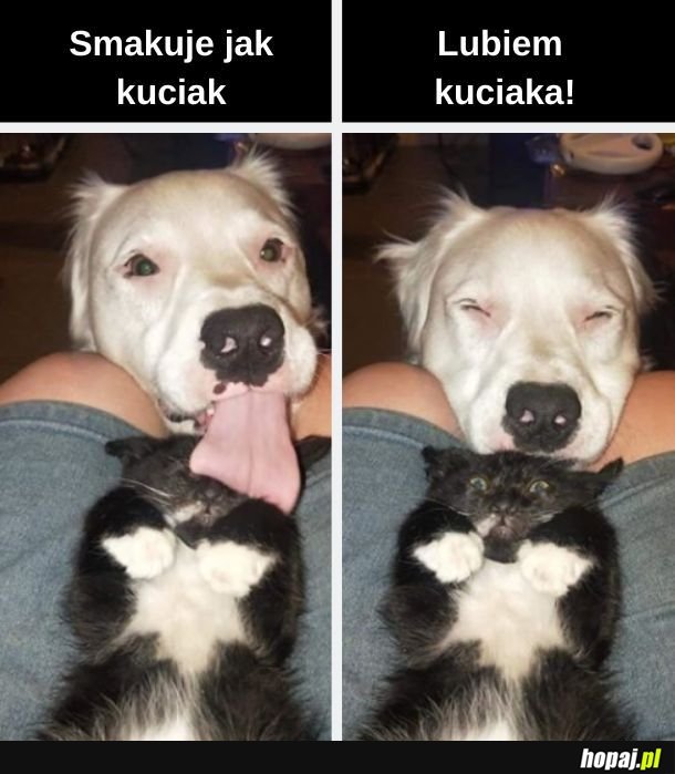 Kuciak