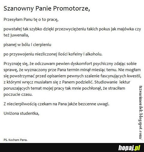 Szanowny Panie Promotorze...