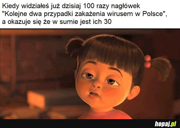 Artykuły