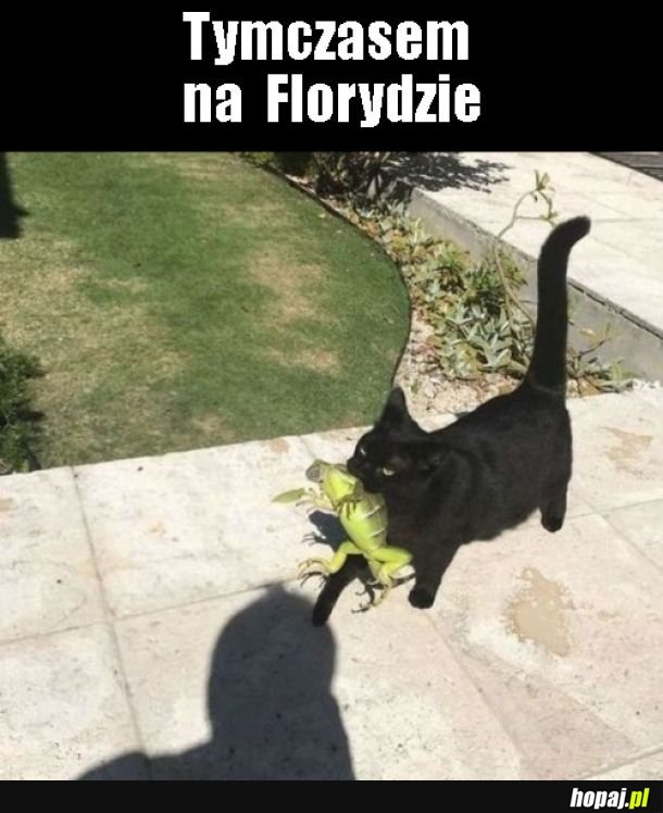 Floryda