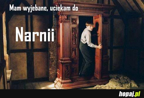 Mam wyjebane, uciekam do Narnii