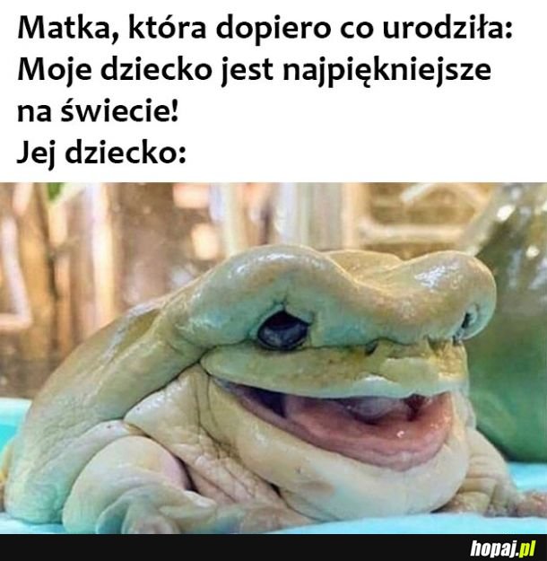 Najpiękniejsze