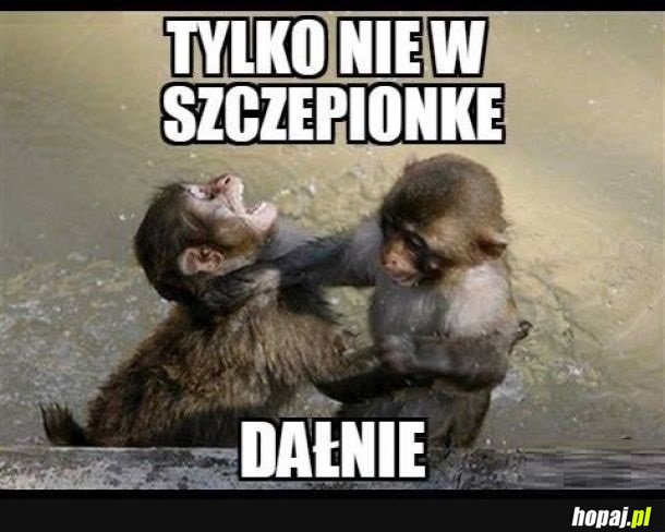 Nie w szczepionkę