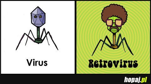 Retrovirus