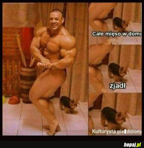 Cham i prostak