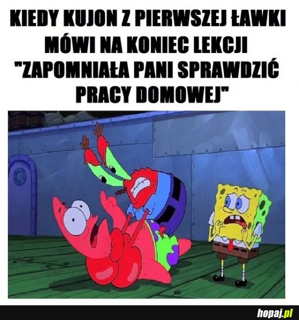 Niech ja cię dorwę