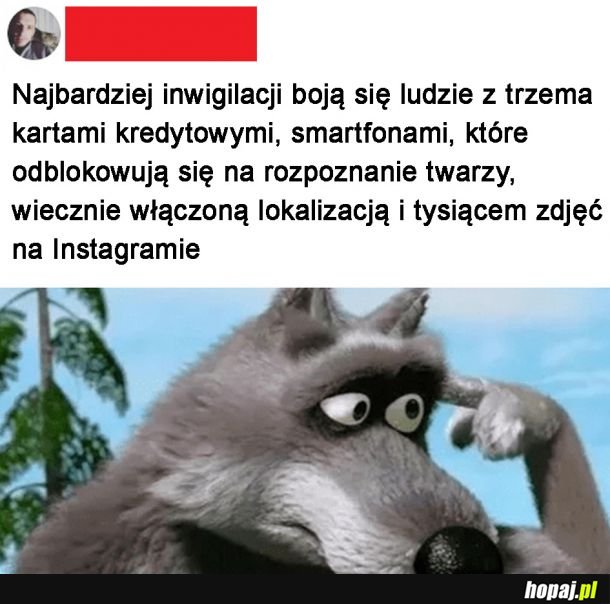 Brak logiki