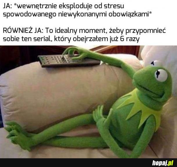 Obowiązki