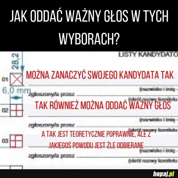 Jak właścicie oddać głos