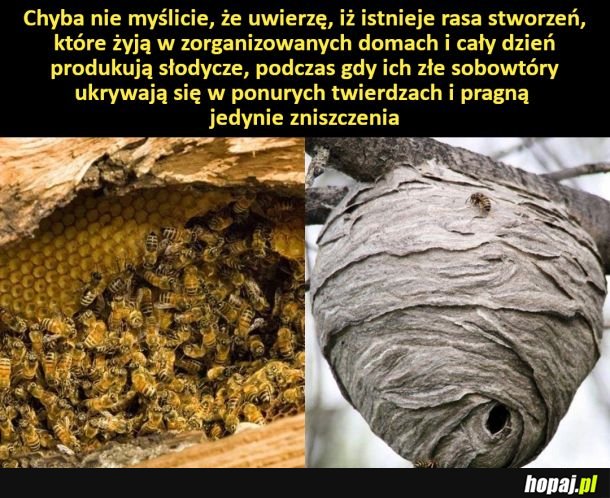 Dziwne rzeczy