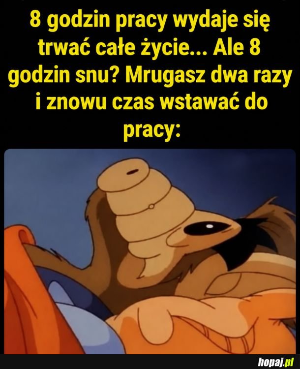 8 godzin snu