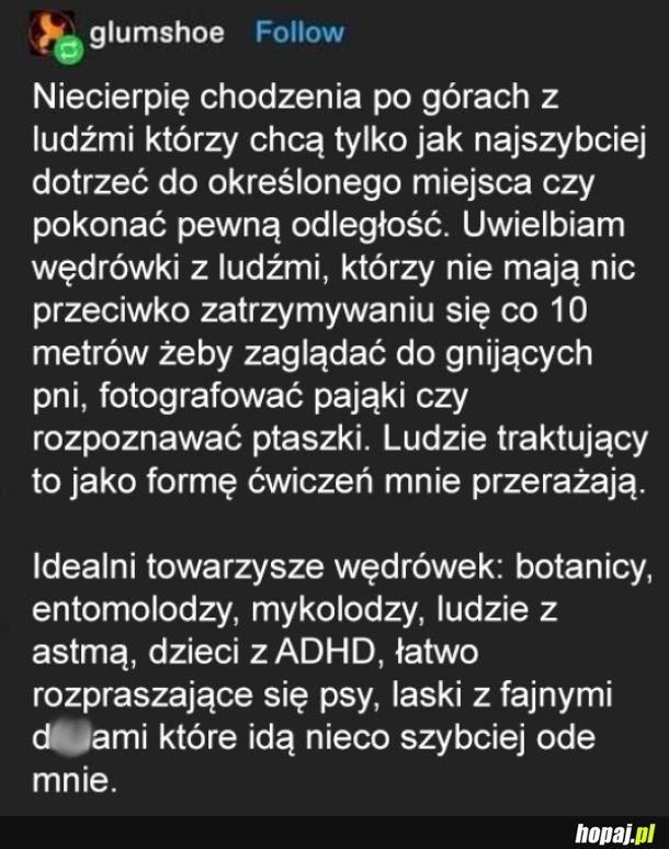 Ja po górach chodzę po to, żeby podziwiać