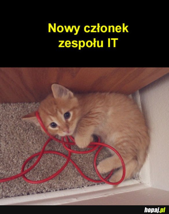 NOWY CZŁONEK