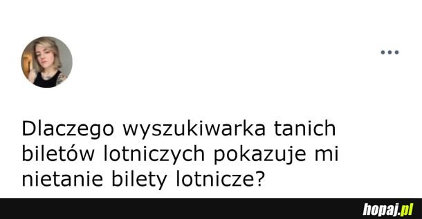 Wyszukiwarka tanich biletów lotniczych