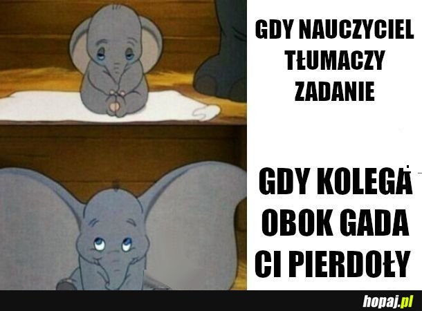 Słuchacz