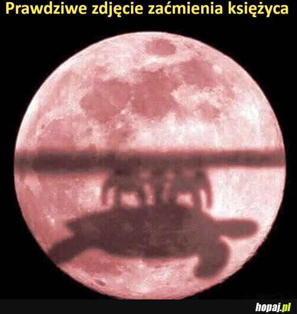 Prawdziwe zdjęcie zaćmienia księżyca