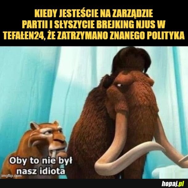 Zarząd partii.