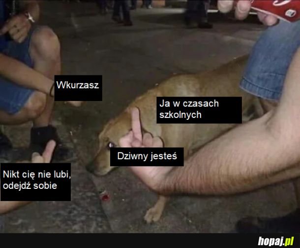 Dobrze, że to się skończyło