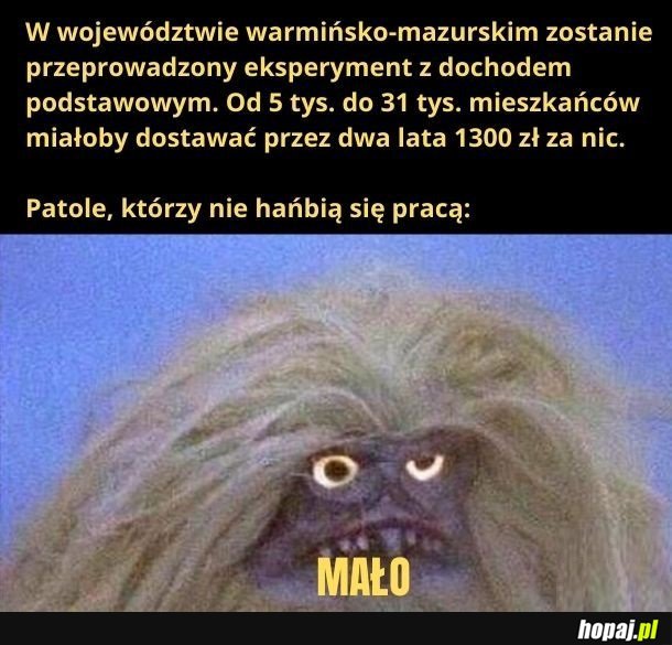 Dochód podstawowy