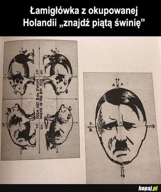 Heheszki 