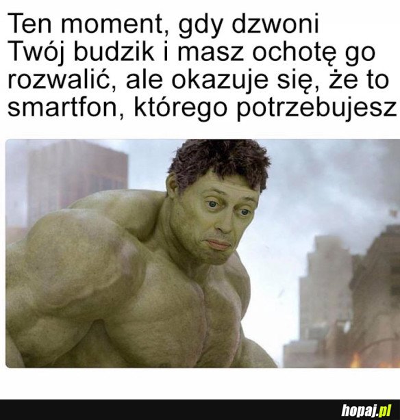 BUDZIK