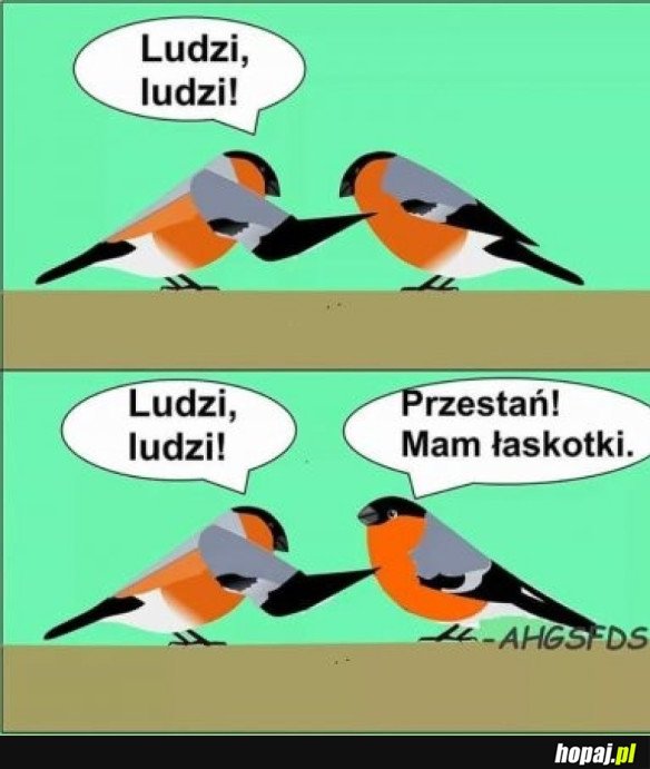 HEHESZKI