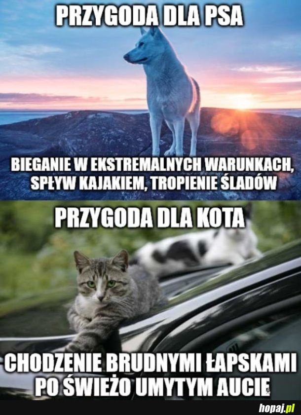 Przygoda