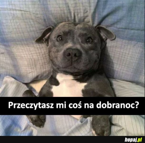 Poczytaj mi