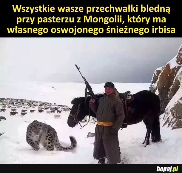 Prawdziwy prestiż