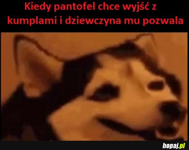 Pantofle takie są 