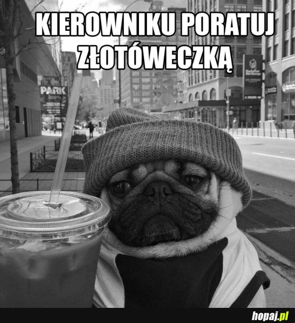 KIEROWNIKU POMÓŻ