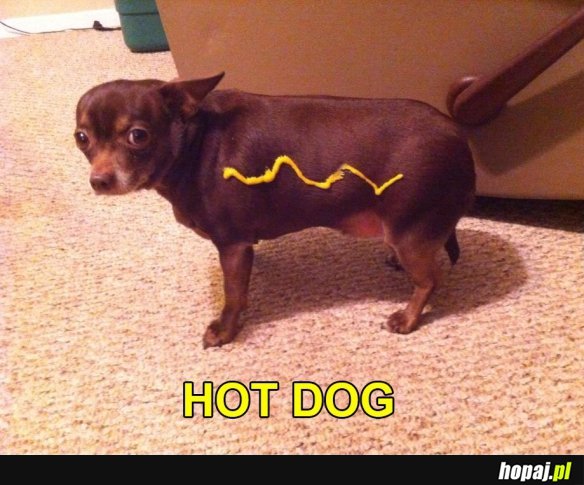 Hot dog