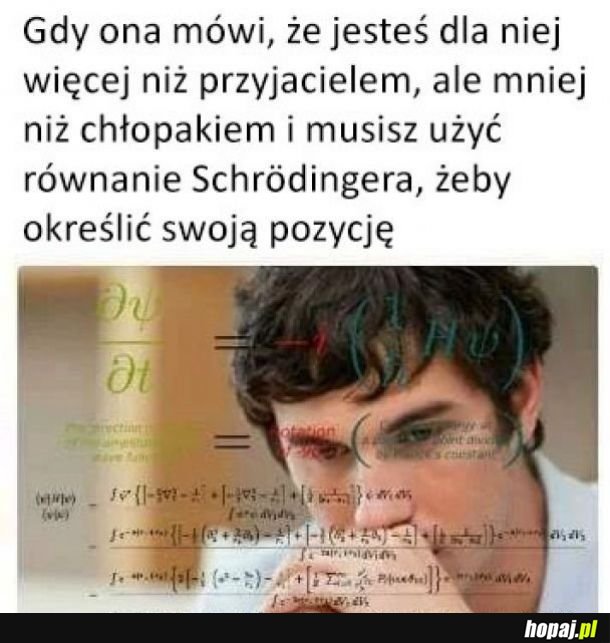 Friendzone Schrödingera