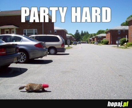 Party Hard!