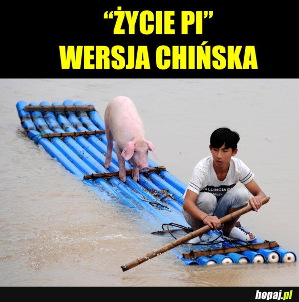 WERSJA BUDŻETOWA