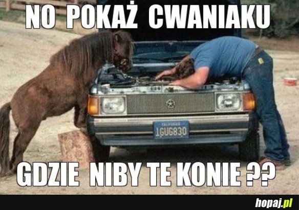 KONIE MECHANICZNE