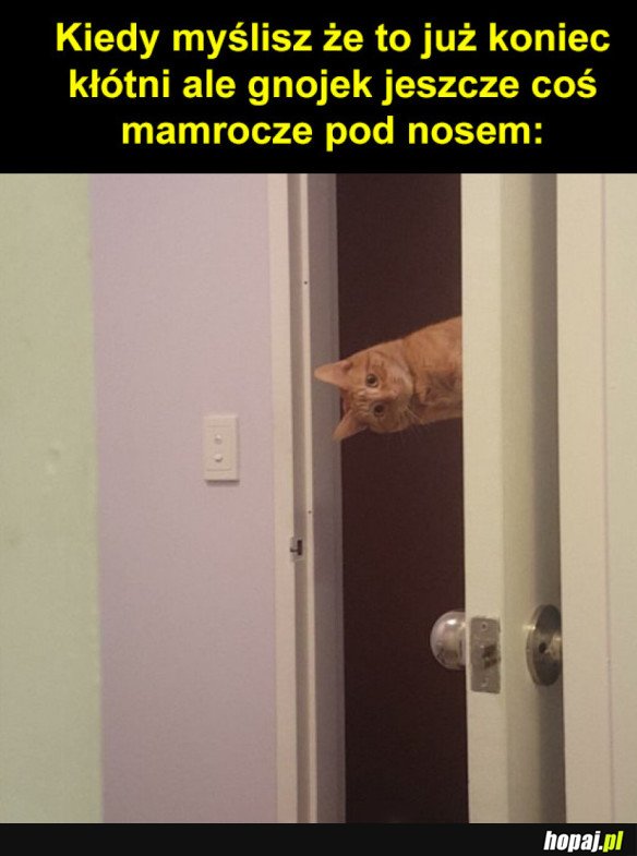 Mówiłeś coś?