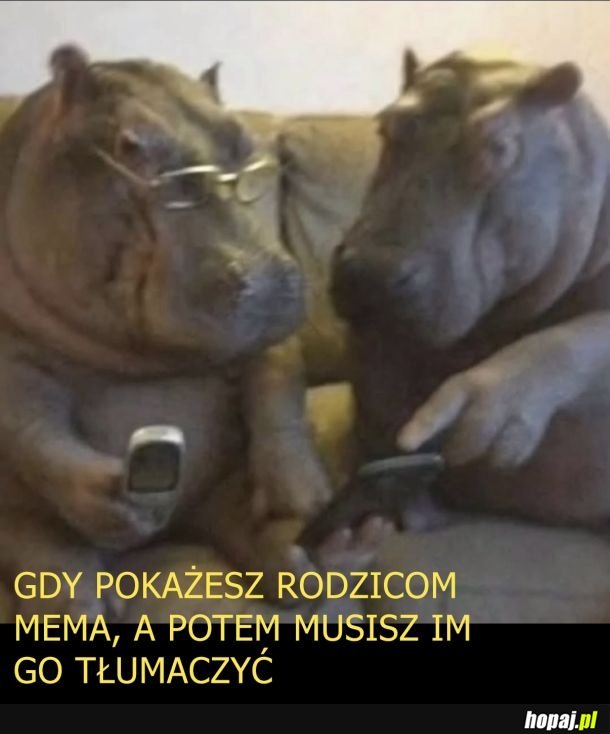 Dej no sie przyjrzeć synek