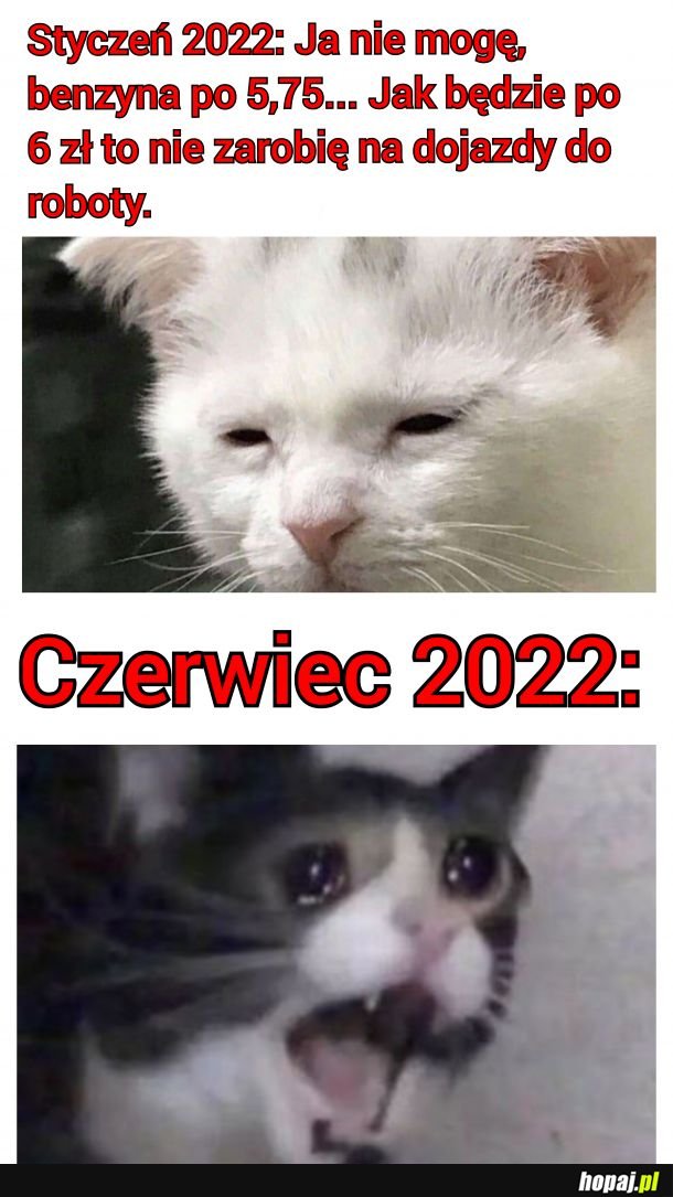 Strach pomyśleć co będzie później...