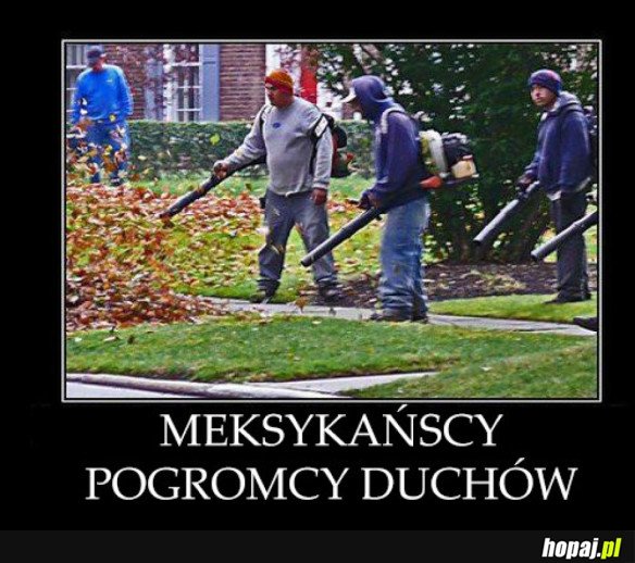 HEHESZKI